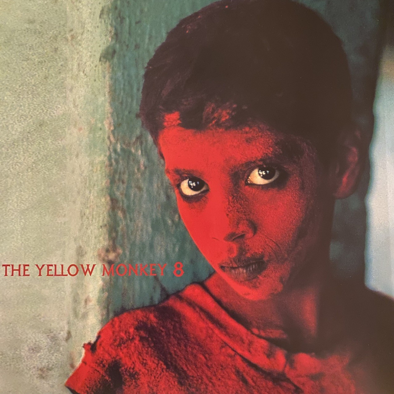 8 THE YELLOW MONKEY